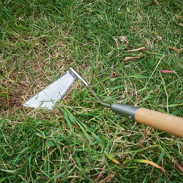 Stainless Steel Long Handled 3 Edge Hoe In-Use Image Stainless Steel Long Handled 3 Edge Hoe - Image 3