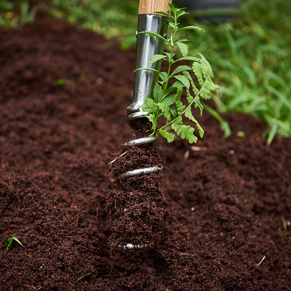 Stainless Steel Long Handled Corkscrew Weeder In-Use Image Stainless Steel Long Handled Corkscrew Weeder - Image 3