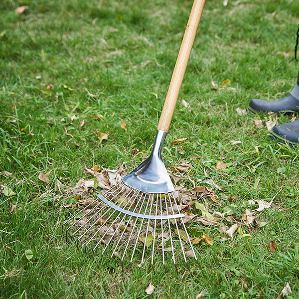 Stainless Steel Long Handled Lawn Leaf Rake In-Use Image Stainless Steel Long Handled Lawn Leaf Rake - Image 3