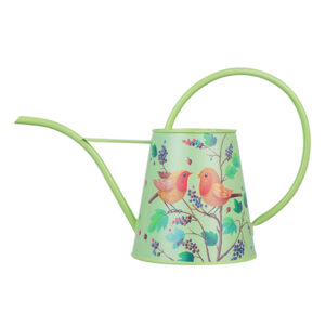 Long Spout Watering Can