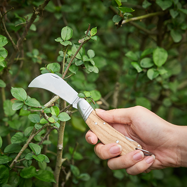 Pruning Knife In-Use Image 1 Pruning Knife - Image 3