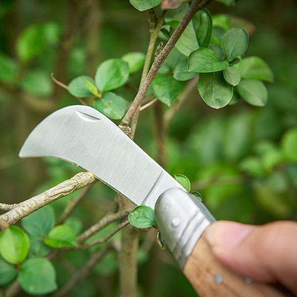 Pruning Knife In-Use Image Pruning Knife - Image 2