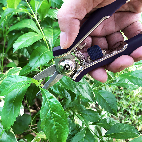 Pruning Snips In-Use Image 1 Pruning Snips - Image 2