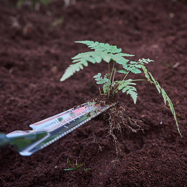 Stainless Steel 5-in-1 Hand Multi Weeder In-Use Image 1 Stainless Steel 5-in-1 Hand Multi Weeder - Image 3