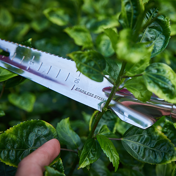 Stainless Steel 5-in-1 Hand Multi Weeder In-Use Image Stainless Steel 5-in-1 Hand Multi Weeder - Image 2
