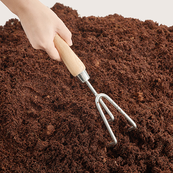 Stainless Steel Hand 3 Prong Cultivator In-Use Image Stainless Steel Hand 3 Prong Cultivator - Image 2
