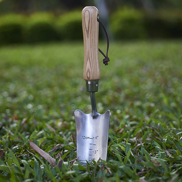 Stainless Steel Hand Transplanting Trowel In-Use Image 1 Stainless Steel Hand Transplanting Trowel - Image 2