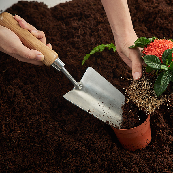 Stainless Steel Hand Trowel In-Use Image 1 Stainless Steel Hand Trowel - Image 3