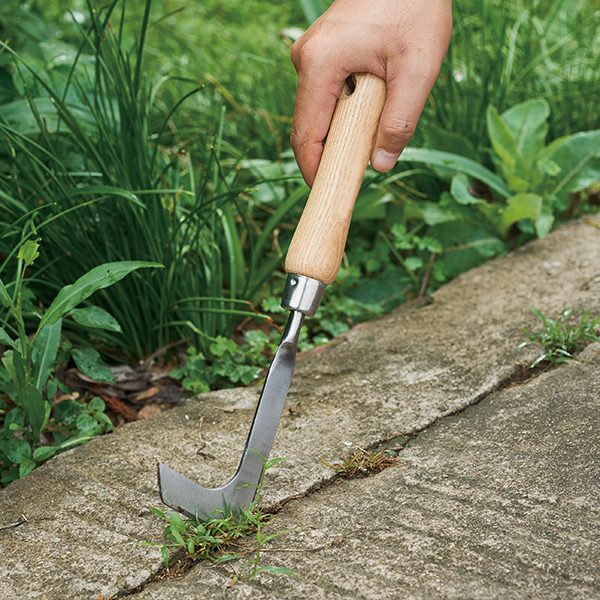 Stainless Steel Hand Weeding Knife In-Use Image 1 Stainless Steel Hand Weeding Knife - Image 3