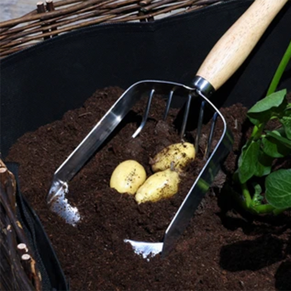 Stainless Steel Harvesting Scoop In-Use Image Stainless Steel Harvesting Scoop - Image 3