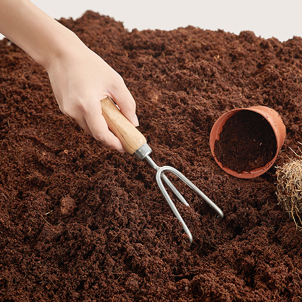 Stainless Steel Lady Hand 3 Prong Cultivator In-Use Image 1 Stainless Steel Lady Hand 3 Prong Cultivator - Image 3
