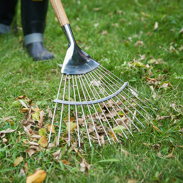 Stainless Steel Lady Lawn Leaf Rake Detail Shot Stainless Steel Lady Lawn Leaf Rake - Image 2