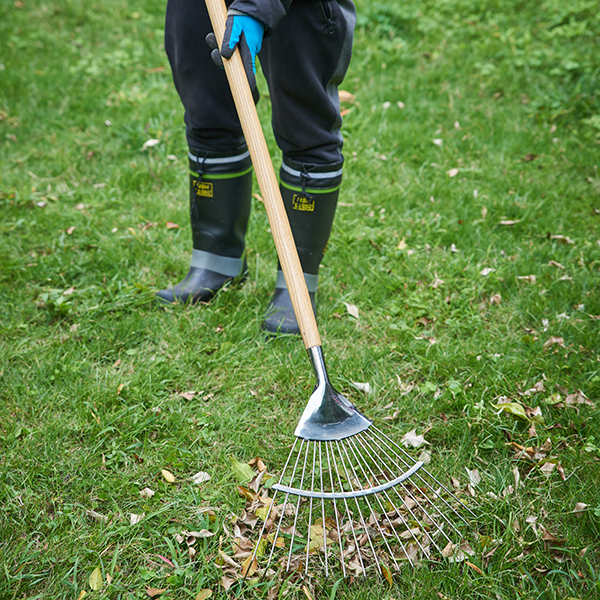 Stainless Steel Lady Lawn Leaf Rake In-Use Image Stainless Steel Lady Lawn Leaf Rake - Image 3