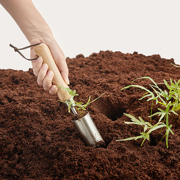 Stainless Steel Small Bulb Planter In-Use Image Stainless Steel Small Bulb Planter - Image 3
