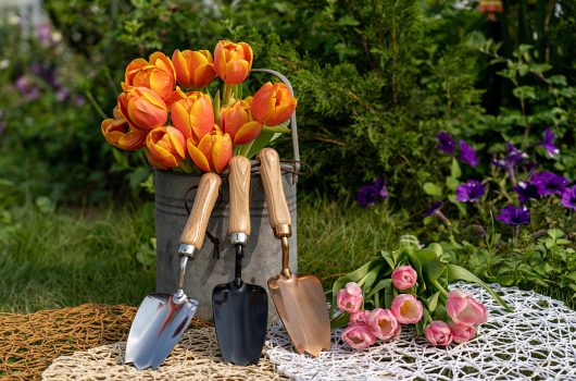 Tulip Hand Trowel